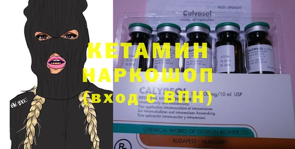 хмурый Магас
