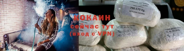 хмурый Магас