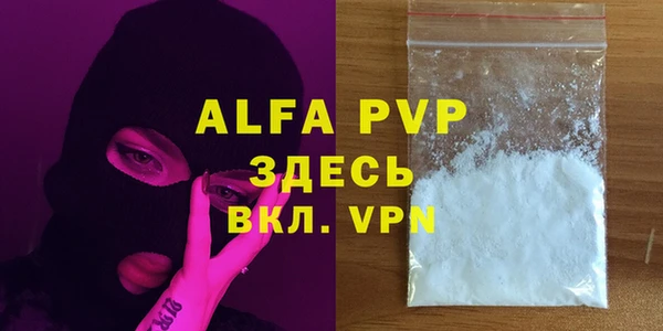 хмурый Магас