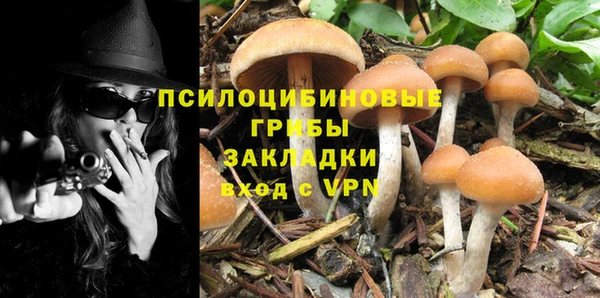 шишки Майский