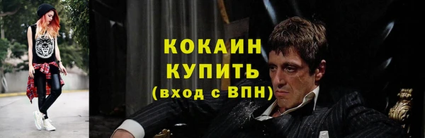 хмурый Магас