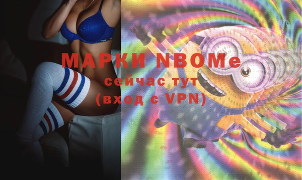 хмурый Магас
