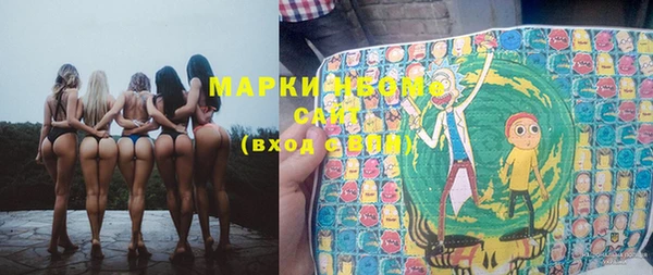 хмурый Магас