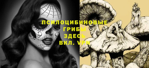 шишки Майский