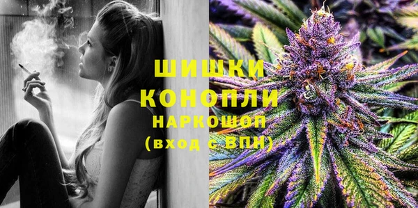 шишки Майский