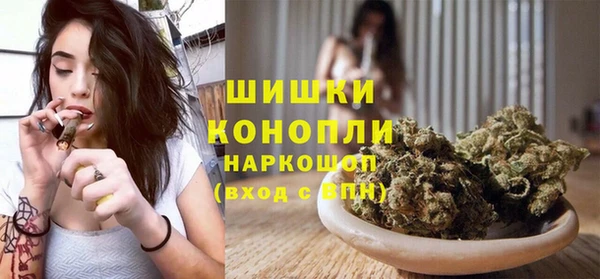 хмурый Магас