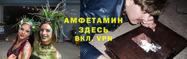 хмурый Магас
