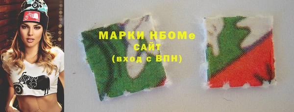 хмурый Магас