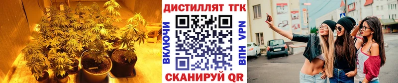 Дистиллят ТГК концентрат  Пересвет 