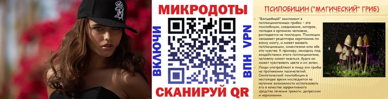 где можно купить наркотик  Пересвет  Галлюциногенные грибы Cubensis 